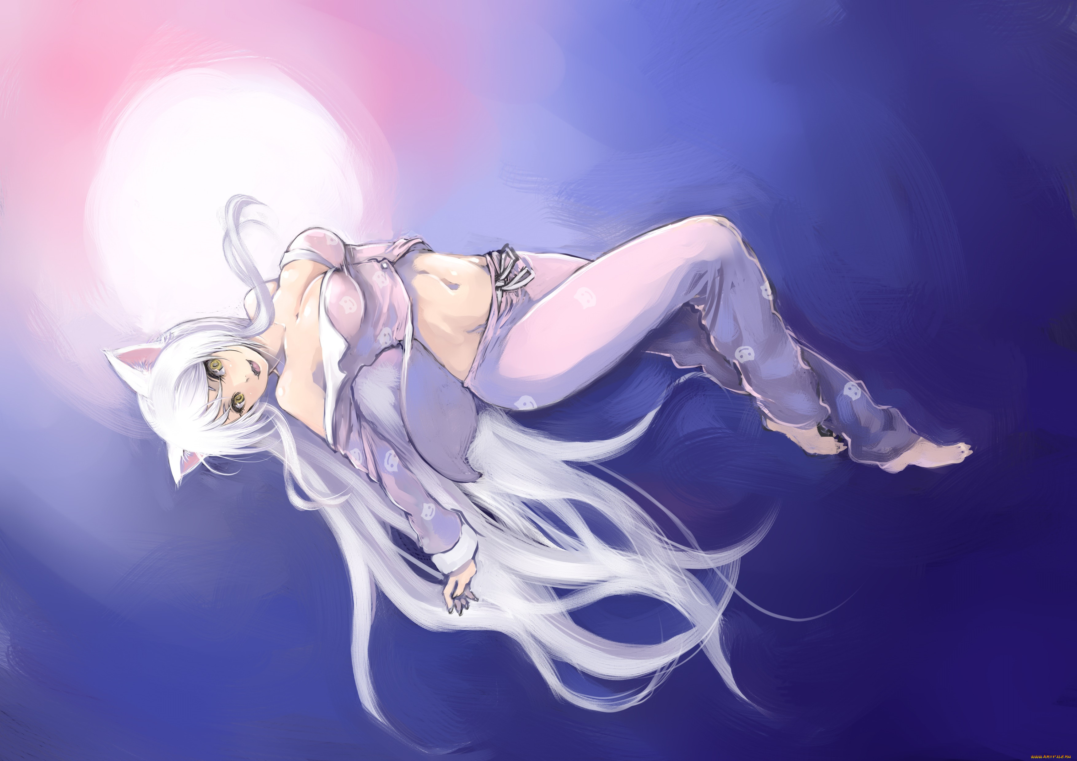 , bakemonogatari, 